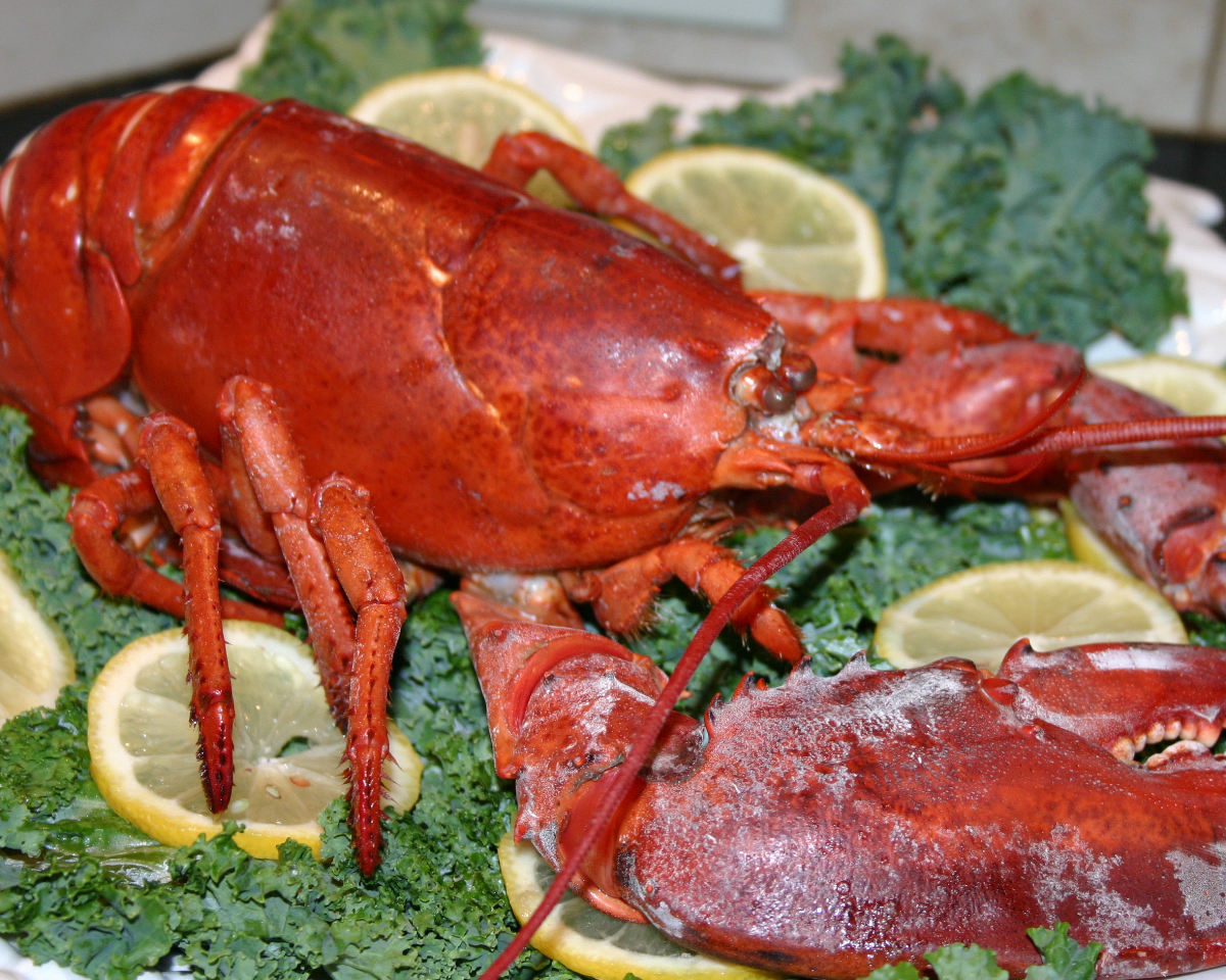 Elegant Summer Dinner (Lobster) Chatty Gourmet